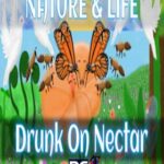 Nature And Life – Drunk On Nectar