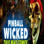 Pinball Wicked